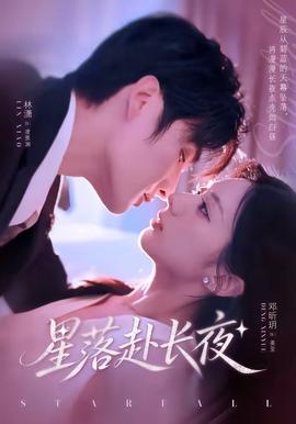星落赴长夜海报