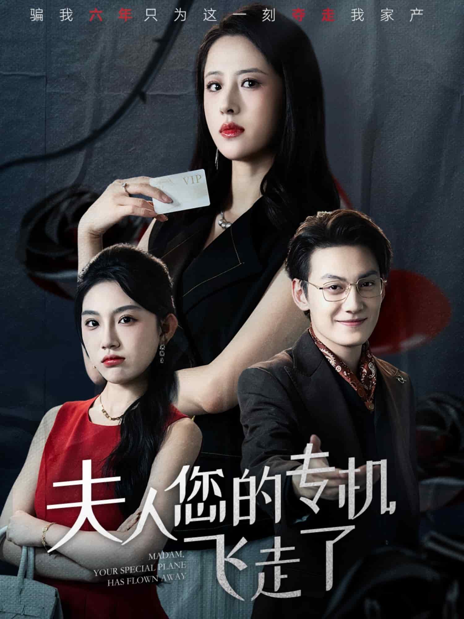 夫人您的专机飞走了海报