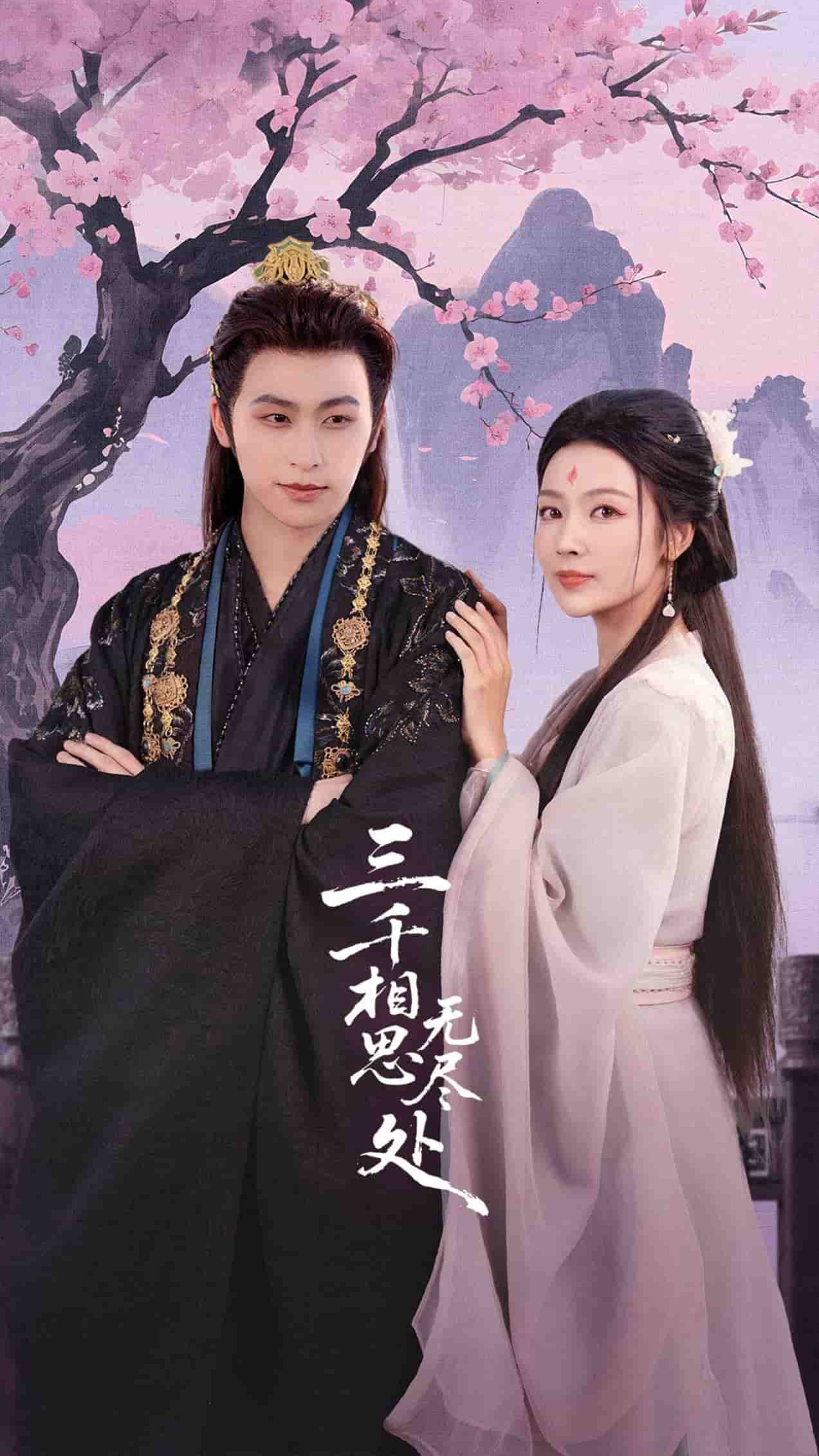三千相思无尽处海报