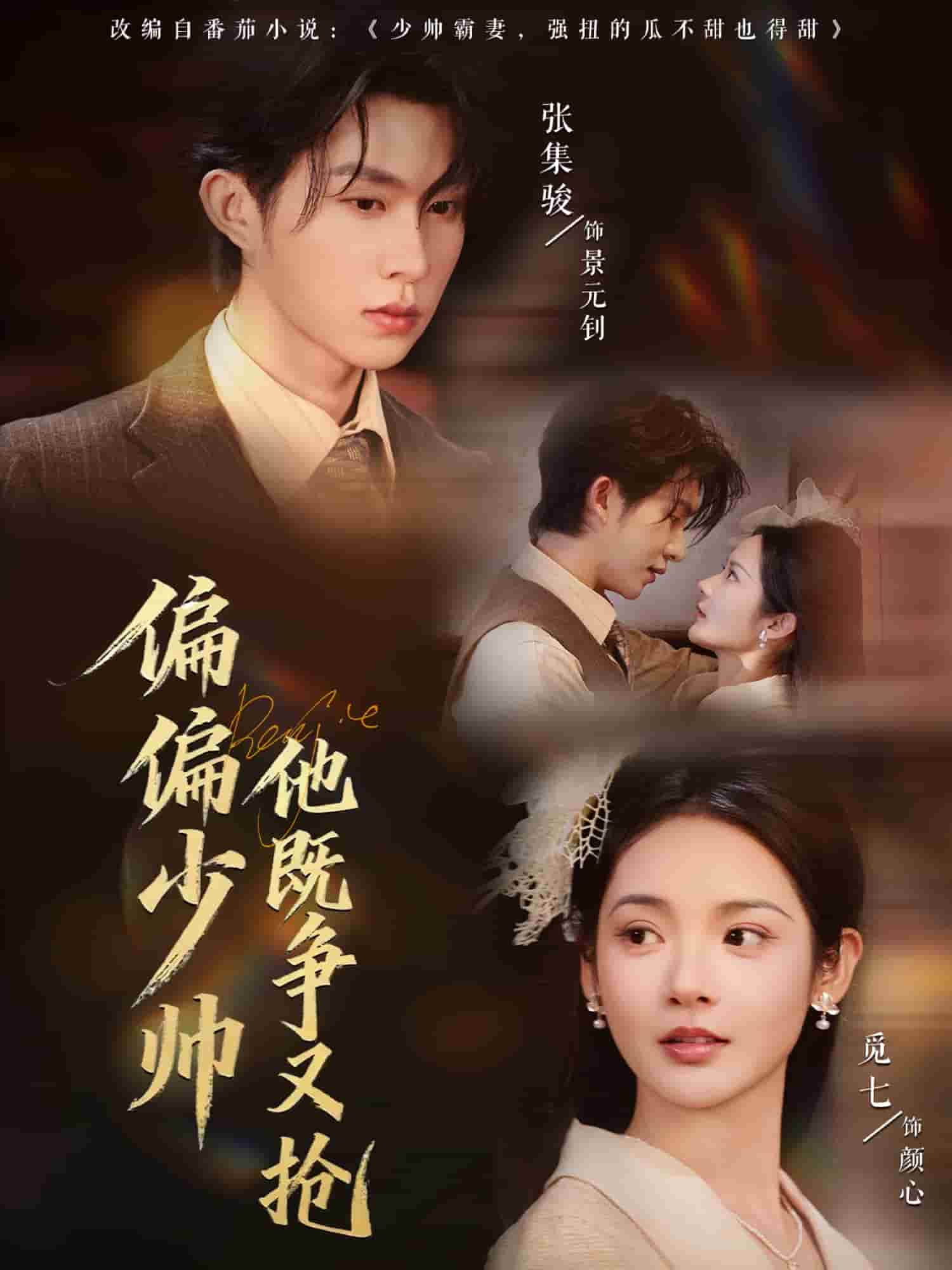 偏偏少帅他既争又抢海报