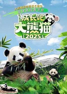 成长吧！大熊猫海报