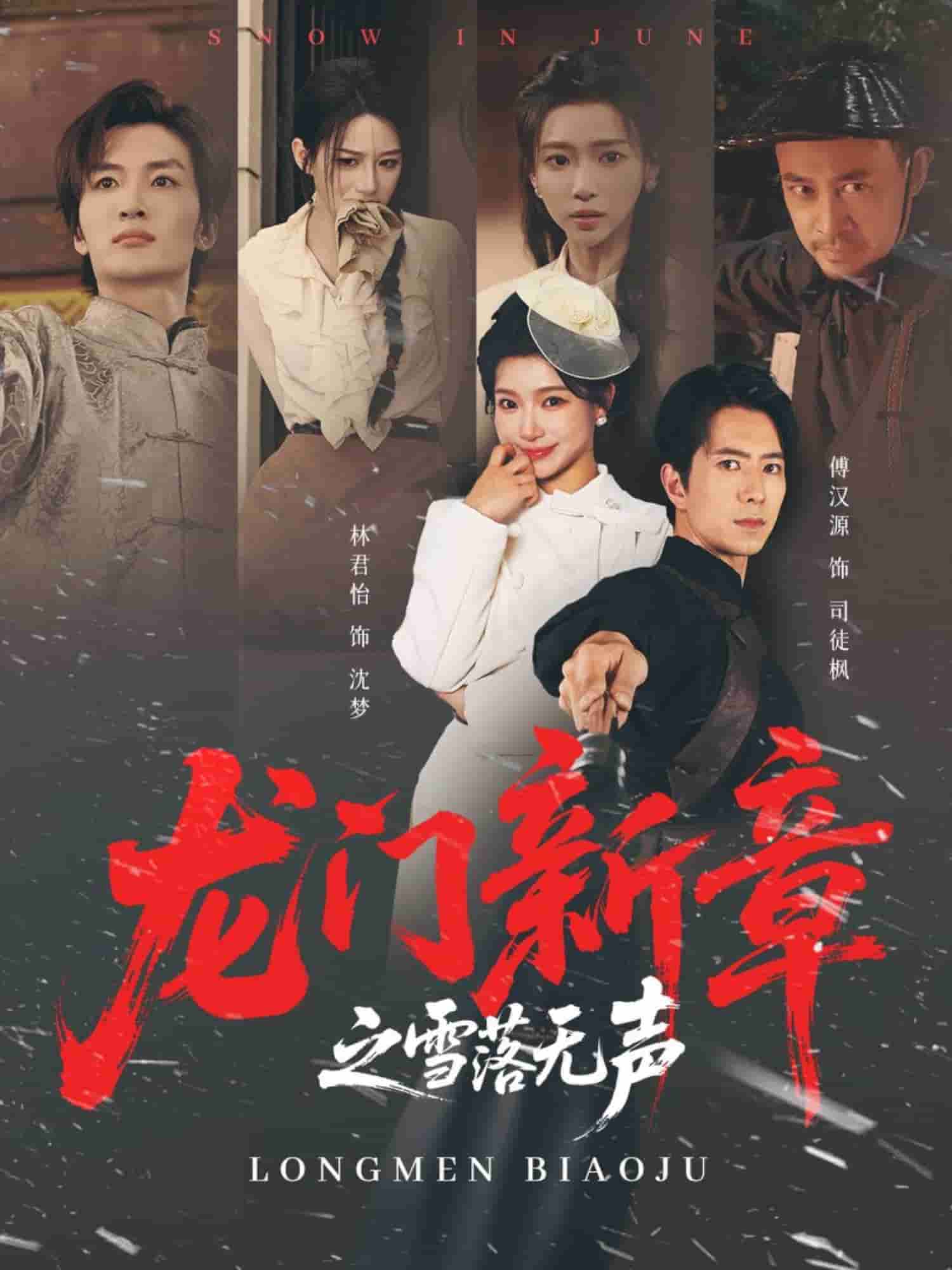 龙门新章之雪落无声海报