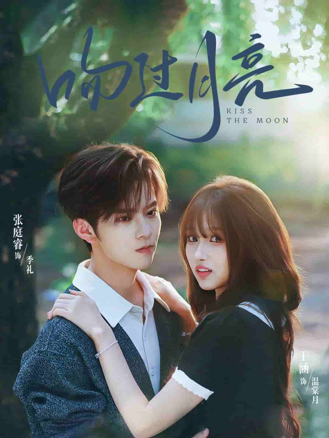 吻过月亮海报