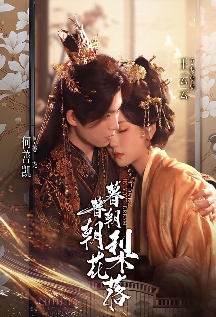 暮暮朝朝梨花落海报