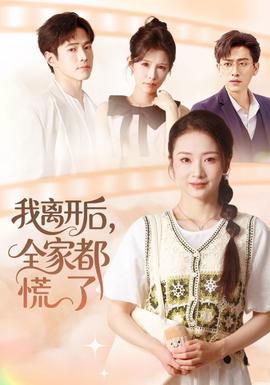 我离开后，全家都慌了海报