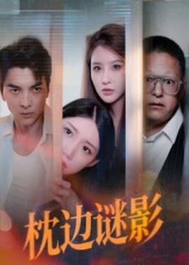 枕边谜影我撞破了妻子的秘密海报