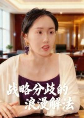 战略分歧的浪漫解法海报