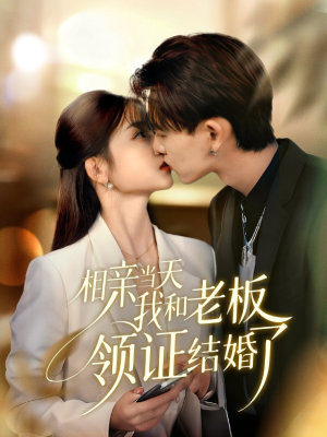 相亲当天我和老板领证结婚了海报
