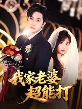 我家老婆超能打海报