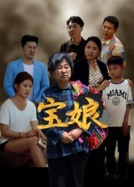 宝娘短剧版海报
