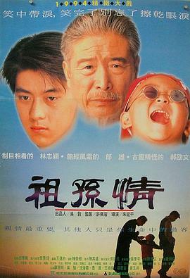 祖孙情1995海报