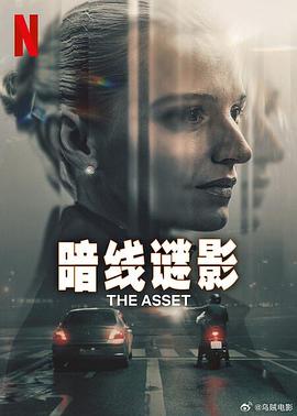 暗线谜影海报