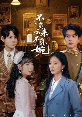 不负云来不负婉海报