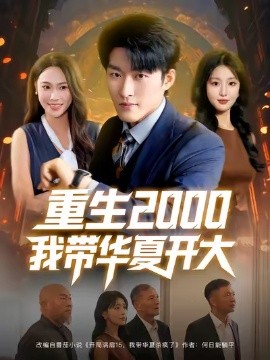 重生2000我带华夏开大海报
