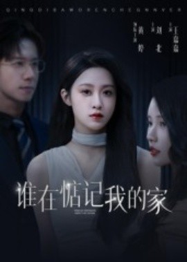 谁在惦记我的家海报