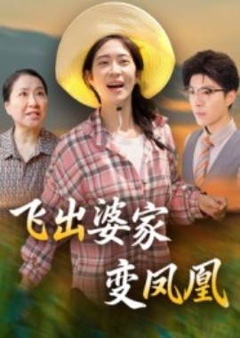 飞出婆家变凤凰海报