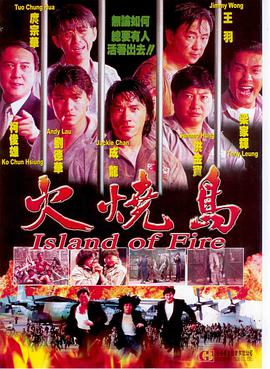 火烧岛(1991)海报