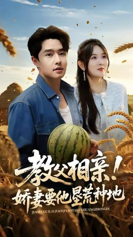 教父相亲娇妻要他垦荒种地海报