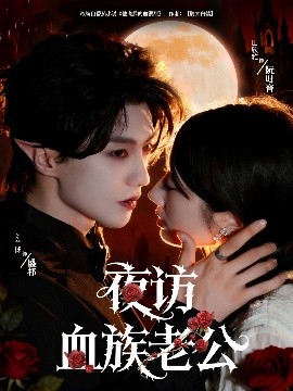 夜访血族老公海报
