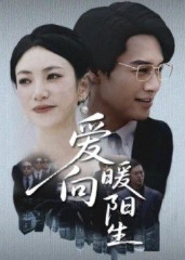爱向暖阳生海报