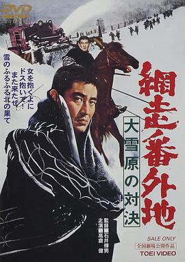 网走番外地：大雪原的对决海报