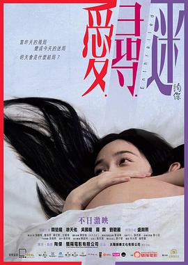爱寻迷粤语海报