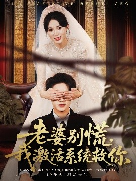 老婆别慌，我激活系统救你海报