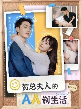 贺总夫人的AA制生活海报