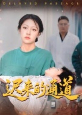 迟来的通道海报