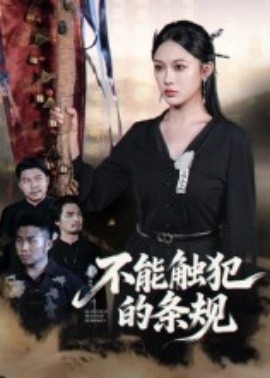 不能触犯的条规海报