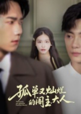 孤单又灿烂的阁主大人海报