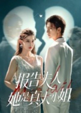 报告夫人她是真大小姐海报