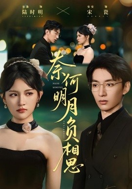 奈何明月负相思海报