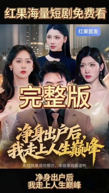 净身出户后，我走上人生巅峰海报