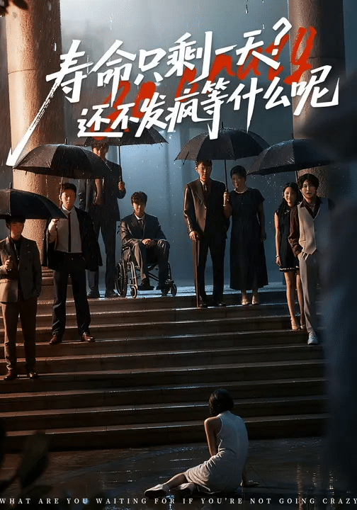 寿命只剩一天，还不发疯等什么呢海报