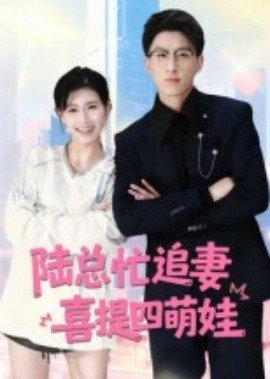 陆总忙追妻喜提四萌娃海报
