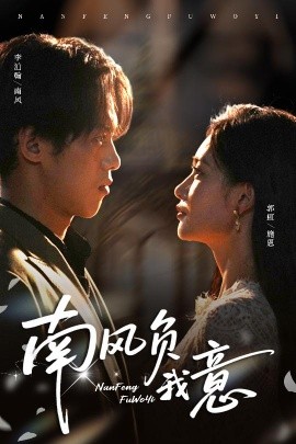 南风负我意海报