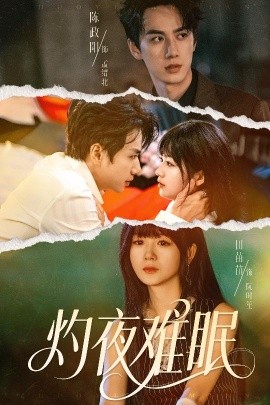 灼夜难眠海报