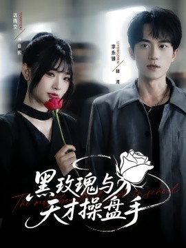 黑玫瑰与天才操盘手海报