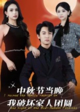 中秋节当晚我破坏家人团圆海报