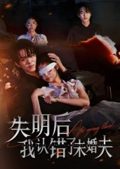 失明后我认错了未婚夫海报