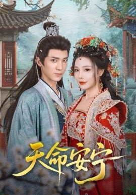 天命安宁海报