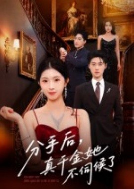 分手后，真千金她不伺候了海报