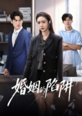 婚姻的陷阱海报
