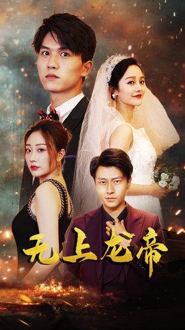 无上龙帝海报