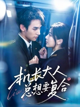机长大人总想要复合海报