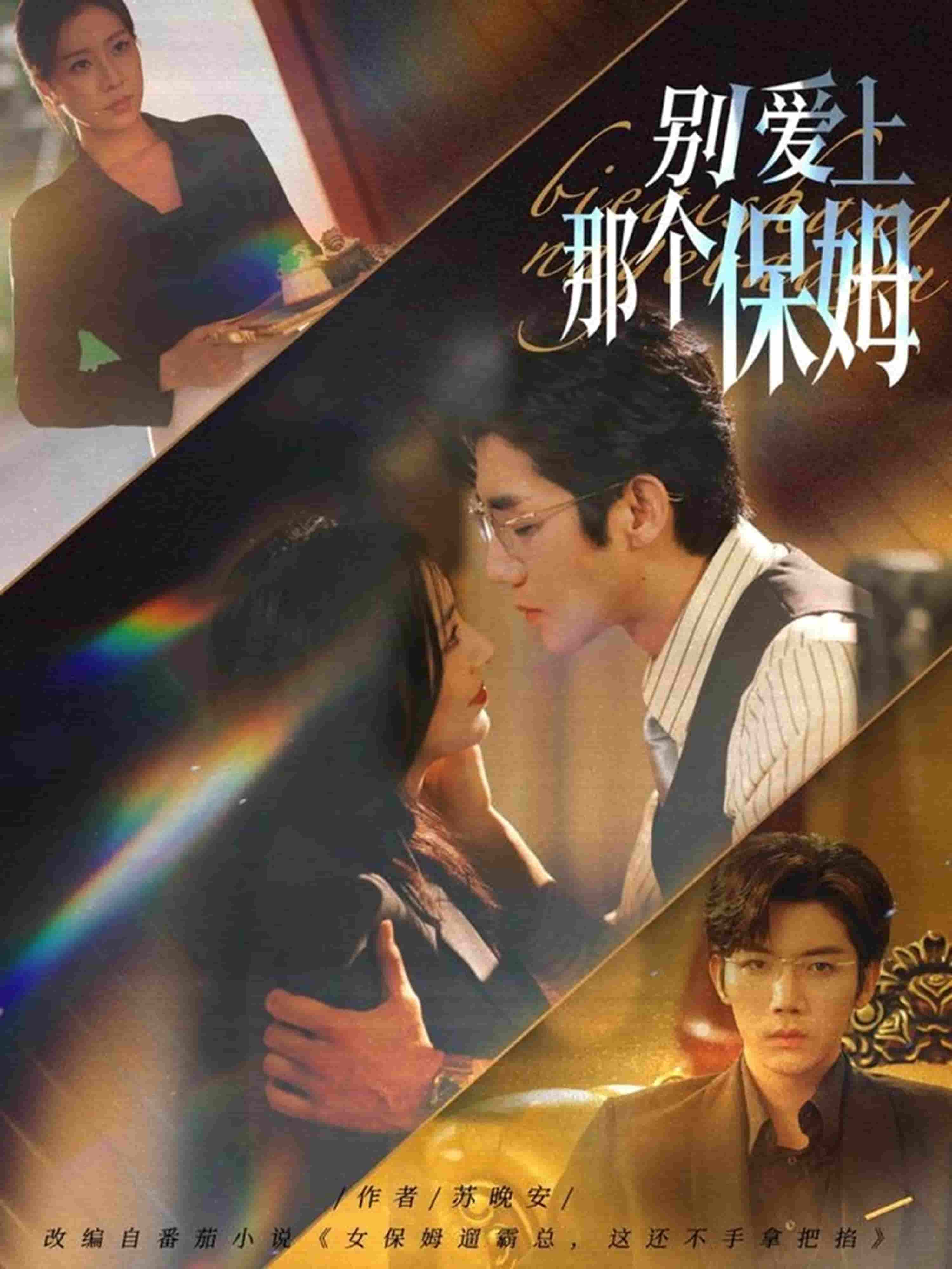 别爱上那个保姆海报