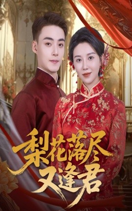 梨花落尽又逢君海报
