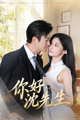 你好沈先生海报