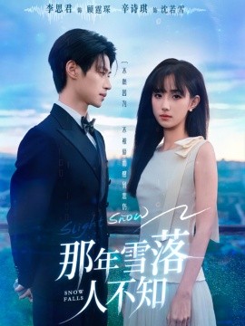 那年雪落人不知海报